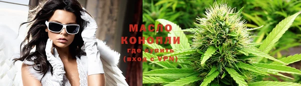 индика Рославль